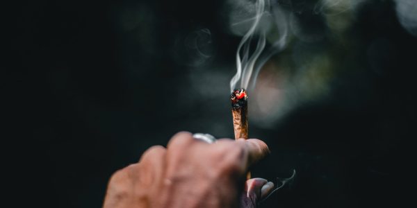 Cannabis Connoisseur cannabis-connoisseur