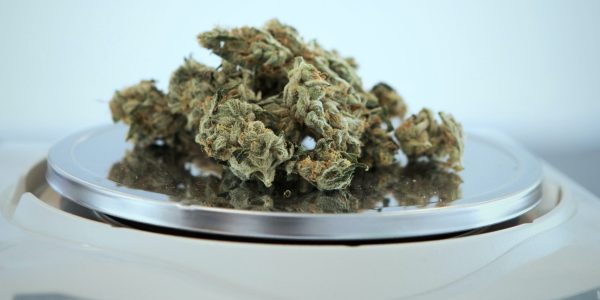 Cannabis Dispensary Scale cannabis-dispensary-scale