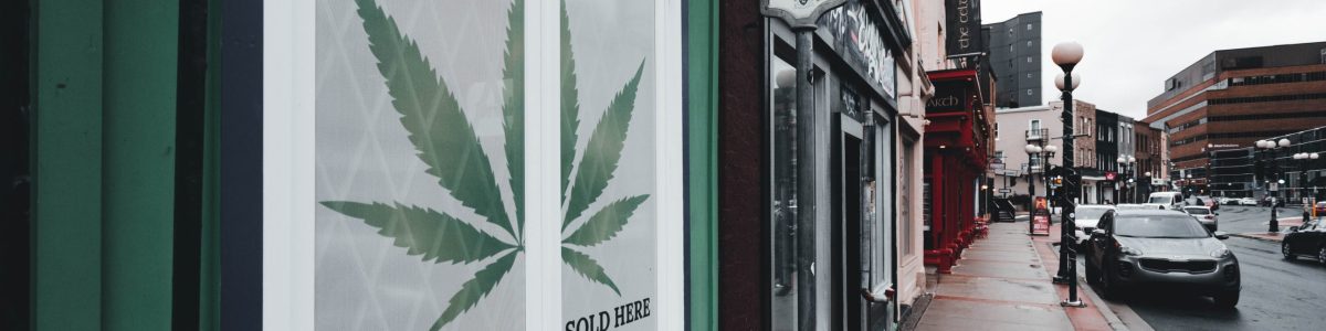 cannabis-digital-marketing