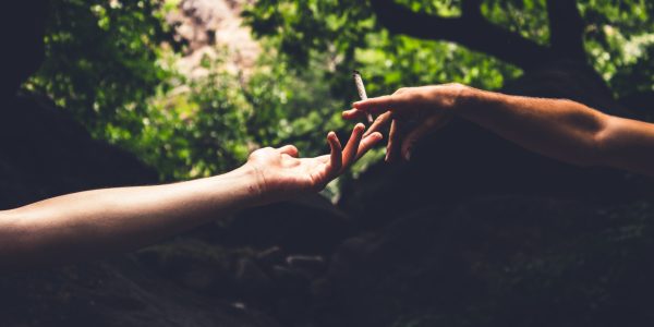 Recreational Cannabis User recreational-cannabis